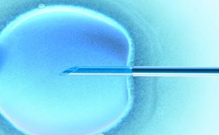 试管婴儿移植后出血，可能有这四种原因！