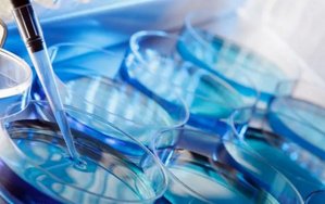 试管过程中激素六项怎么检查